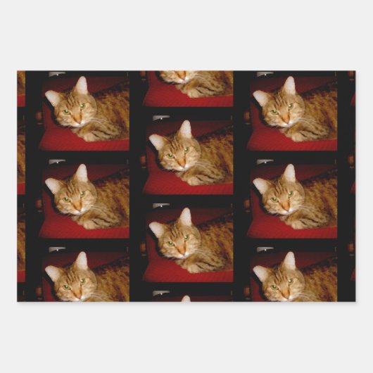 Lucy Kitty Wrapping Paper Set Geschenkpapier Set (Vorderseite 3)