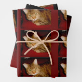Lucy Kitty Wrapping Paper Set Geschenkpapier Set (Beispiel)