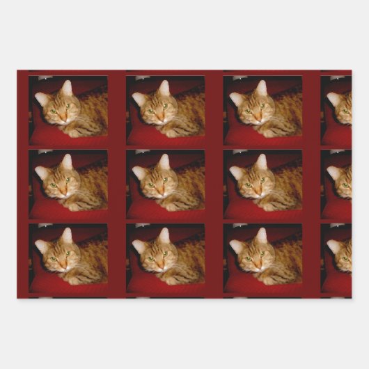 Lucy Kitty Wrapping Paper Set Geschenkpapier Set (Vorderseite)