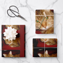 Lucy Kitty Wrapping Paper Set Geschenkpapier Set