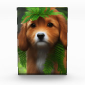 Lucy The Labrador Puppy, Fotoblock (Vorderseite)