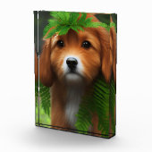 Lucy The Labrador Puppy, Fotoblock (Rechts)