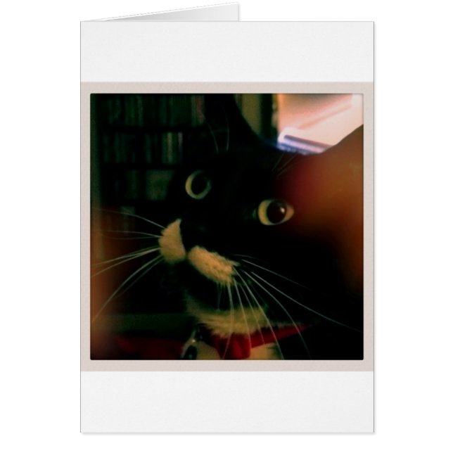 Lucy's Closeup (Vorne)