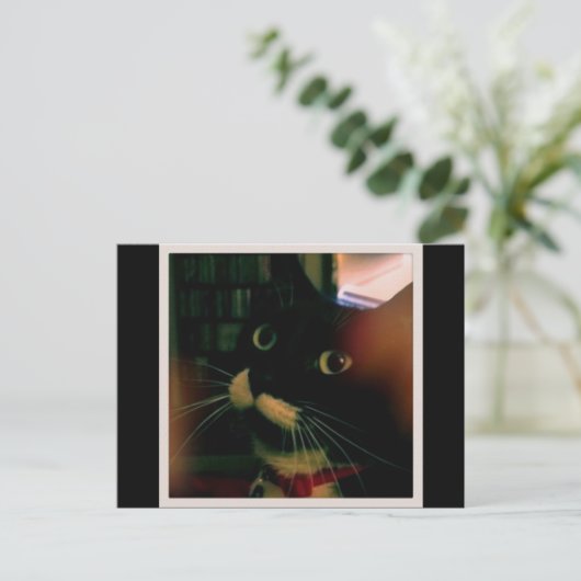 Lucy's Closeup Postkarte (Stehend Vorderseite)