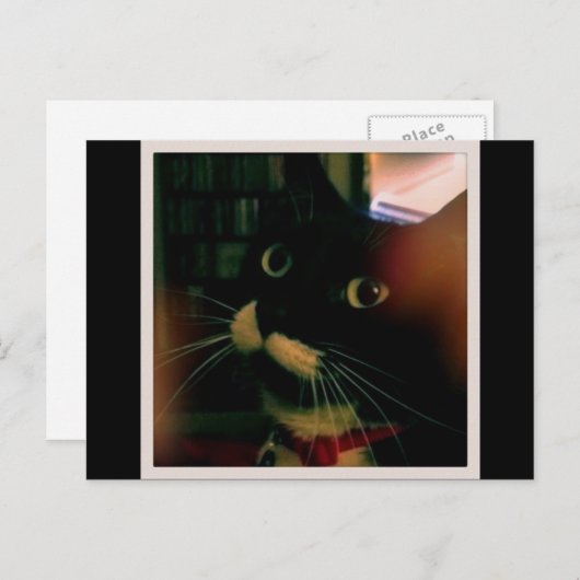 Lucy's Closeup Postkarte (Vorne/Hinten)