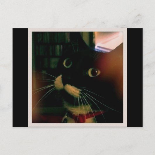 Lucy's Closeup Postkarte (Vorderseite)