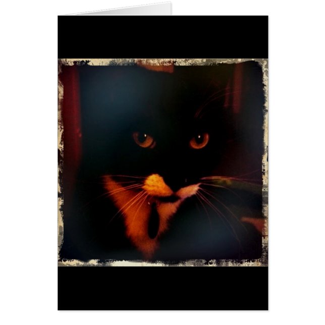 Lucy's dramatischer Blick (Vorne)