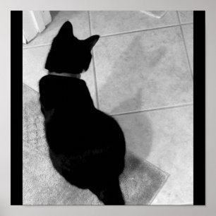 Lucys Schatten B+W Poster