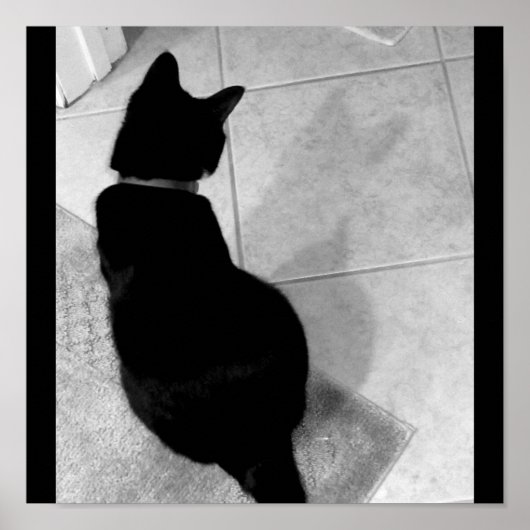 Lucy's Shadow B+W Poster (Vorne)