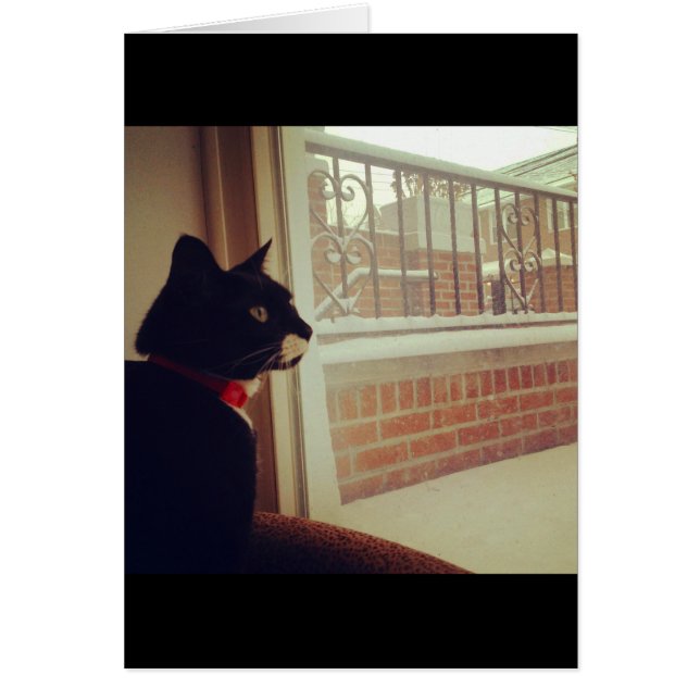 Lucy's Snow Day (Vorne)