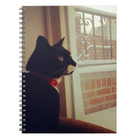 Lucy's Snow Day Notizblock (Vorderseite)