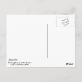 Ludendorff Bridge bleibt in Erpel, Remagen Postkarte (Rückseite)