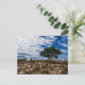 Ludington Staat Park, Michigan Postkarte (Stehend Vorderseite)