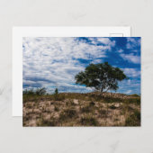 Ludington Staat Park, Michigan Postkarte (Vorne/Hinten)