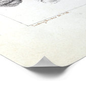 Ludwig Becker Murray Spiny Crayfish Poster (Ecke)