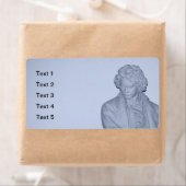 Ludwig van Beethoven (Insitu)