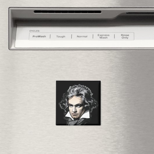 Ludwig van Beethoven Magnet (In Situ (Geschirrspüler))