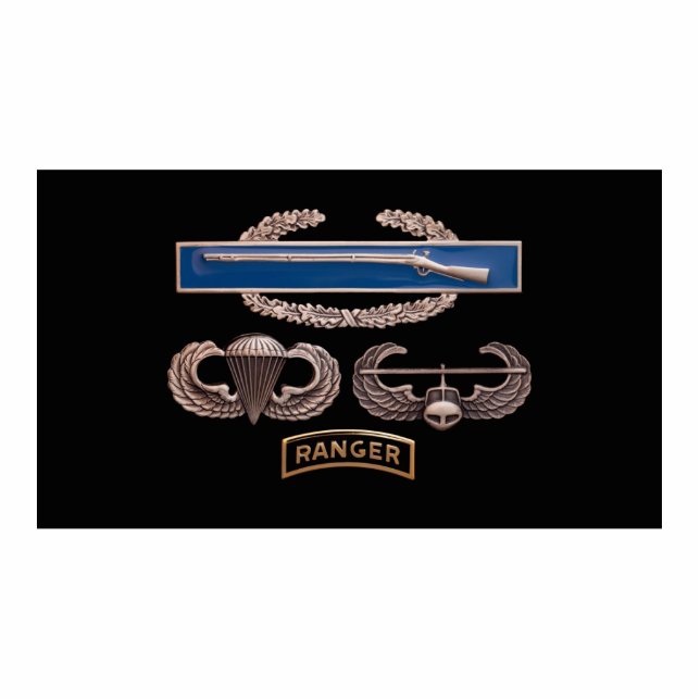 Luft-Angriffs-Förster CIB im Flugzeug Freistehende Fotoskulptur (Vorne)