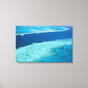 Luftansicht des Great Barrier Reef von der Leinwanddruck
