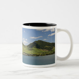 Luftansicht des Lion Mountain, Südosten Zweifarbige Tasse