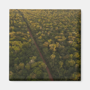 Luftansicht des Regenwaldes. Iwokrama-Reservat, 2 Magnet