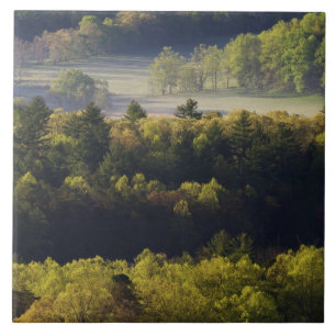 Luftansicht des Waldes in Cades Cove, Great Smoky Fliese