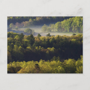 Luftansicht des Waldes in Cades Cove, Great Smoky Postkarte