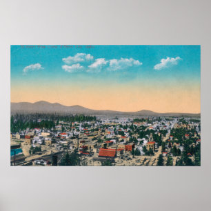 Luftaufnahme der CityCoeur d'Alene, ID Poster