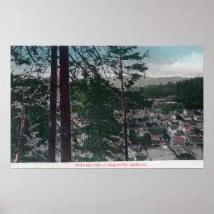 Luftaufnahme der Stadt Guerneville, CA Poster