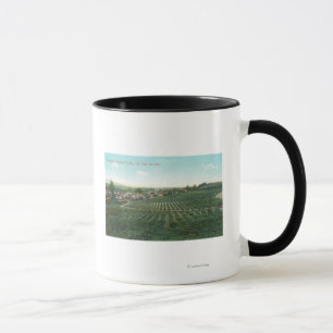 Luftaufnahme der Stadt, Sonoma County vom Hügel Tasse