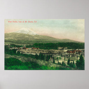 Luftaufnahme der Unkraut-Station an Basis Mt. Poster