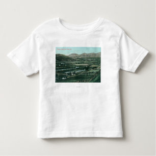 Luftaufnahme des Auftrags ValleySan Diego, CA Kleinkind T-shirt