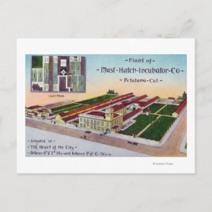 Luftaufnahme des Must-Hatch-Inkubators Co Bldg Postkarte