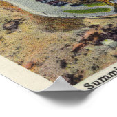 Luftaufnahme des Winding Trail, Schloss, Gipfel Poster (Ecke)