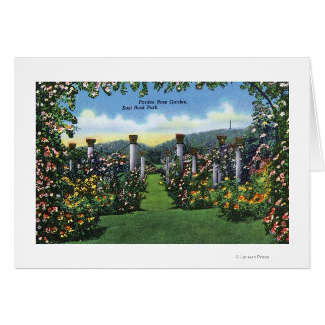 Luftaufnahme des Yale Bowl Stadions, Yale U (Vorderseite (Horizontal))