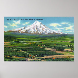 Luftaufnahme von Hood River Tal und Berg Poster