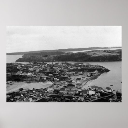 Luftaufnahme von Kodiak, Alaska-Foto Poster (Vorne)