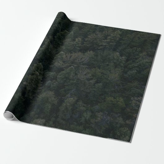 Luftaufnahmen von Bäumen Geschenkpapier (Ungerollt)