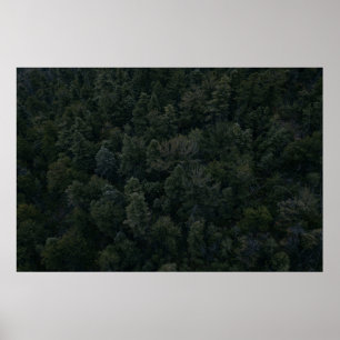 Luftaufnahmen von Bäumen Poster