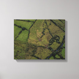 Luftaufnahmen von Grünflächen Leinwanddruck