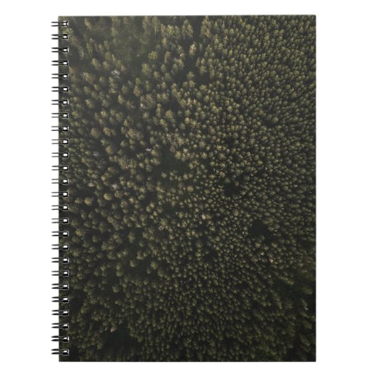 Luftaufnahmen von hohen grünen Bäumen Notizblock (Vorderseite)