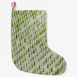 Luftaufnahmen von Reiskulturen während des Tages Kleiner Weihnachtsstrumpf