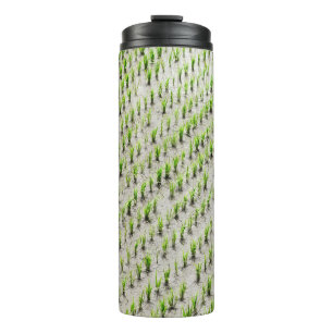 Luftaufnahmen von Reiskulturen während des Tages Thermosbecher