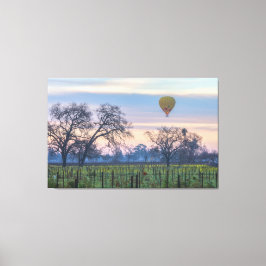 Luftballon über Weinhof Leinwanddruck