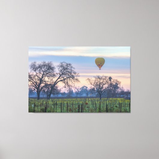 Luftballon über Weinhof Leinwanddruck (Vorderseite)