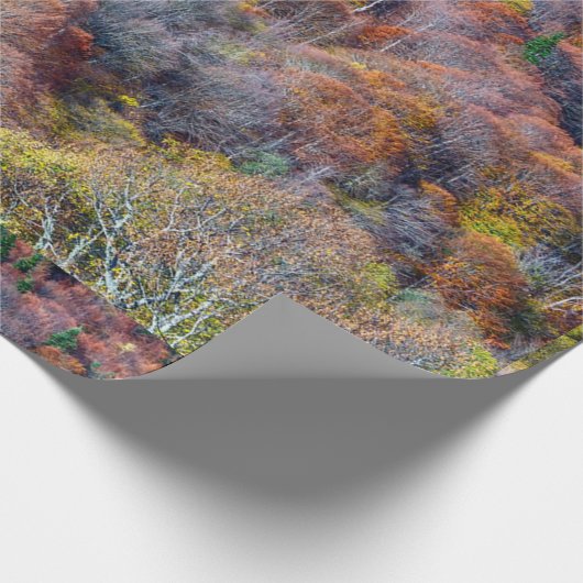 Luftbild der farbenfrohen Bäume des Herbstes Geschenkpapier (Ecke)