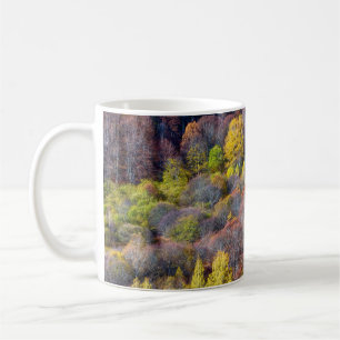Luftbild der farbenfrohen Bäume des Herbstes Kaffeetasse