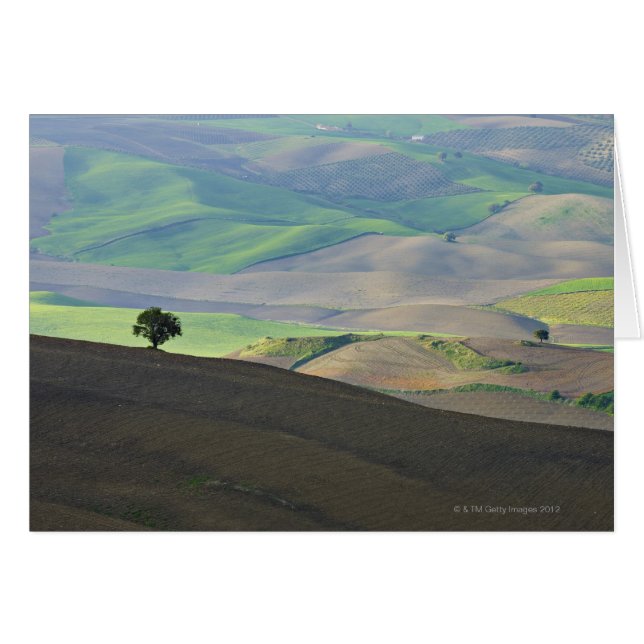 Luftbild der Landschaft des ländlichen Raums in de (Vorderseite (Horizontal))