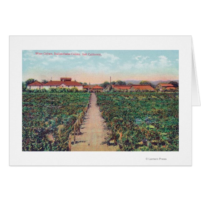 Luftbild der Weinberge und Weinkeller (Vorderseite (Horizontal))