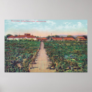 Luftbild der Weinberge und Weinkeller Poster
